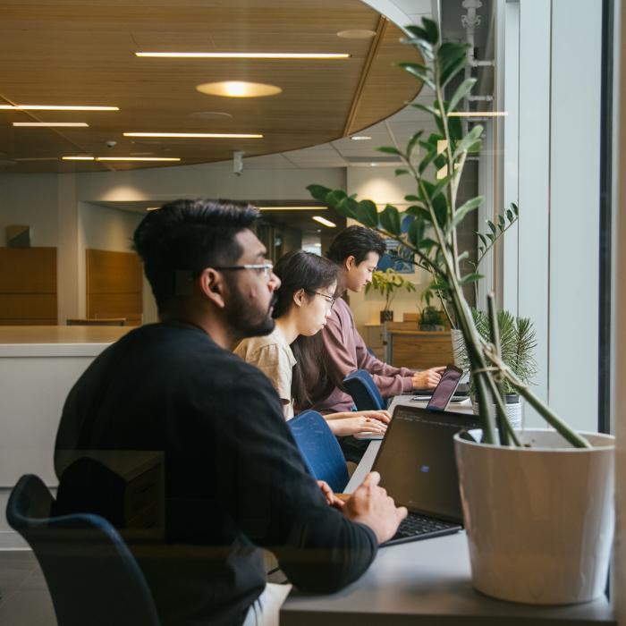 students looking at their computers