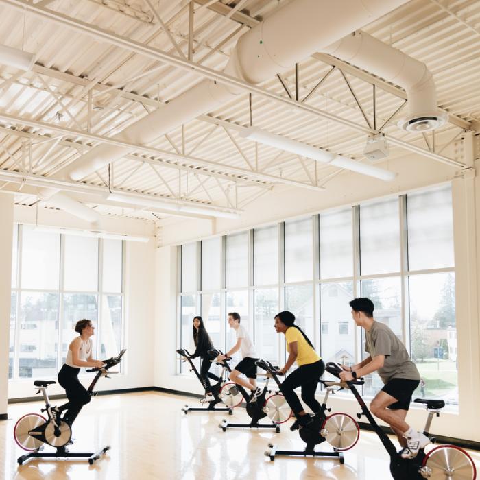 people working out in the gym