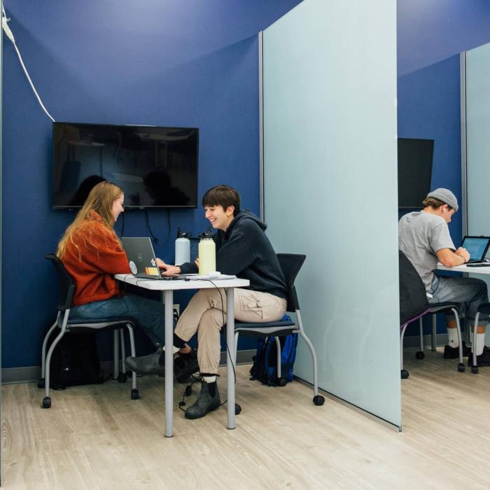 students working in library study rooms