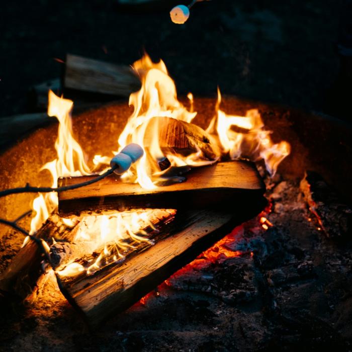 Marshmallows toasting on a fire