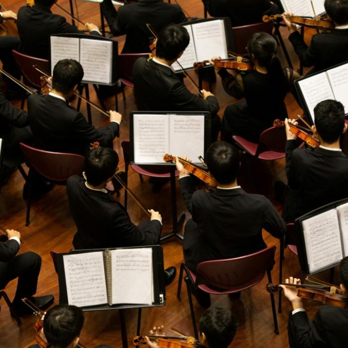 An aerial view of an orchestra.