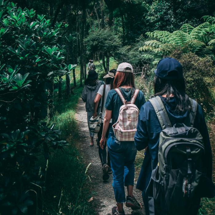 A group of people walking along a trail in a forest.