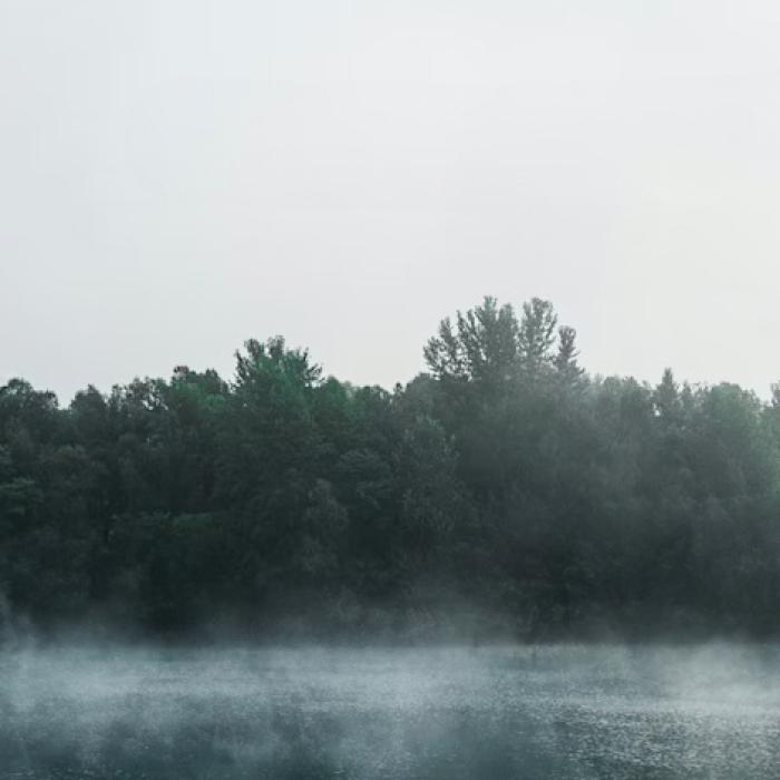 A misty forest with trees in various shades of green reflected on a still body of water.