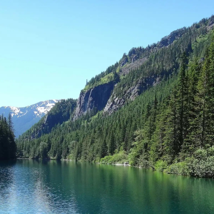 A picture of a lake and trees