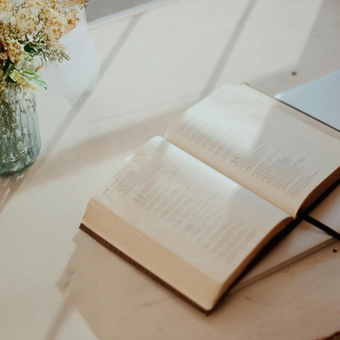 Open book on a sunlit desk with flowers in a vase nearby.