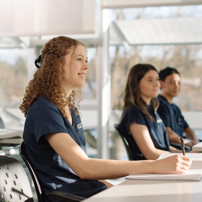 Students attentively listening in a sunlit classroom.