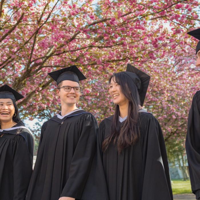 graduates in regalia walking in front of cherry blossoms